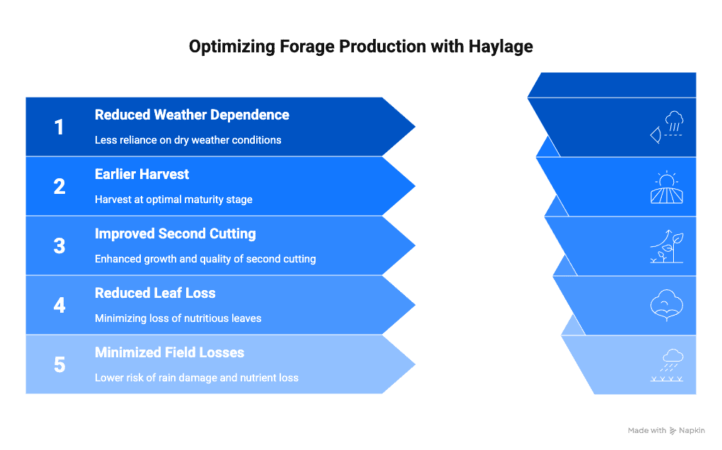 optimizing forage production by taking earlier cuttings to make haylage vs waiting for better weather to make dry hay in the pacific northwest.